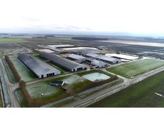 Property photo 3 - OHIO DAIRY AUCTION - 193+/- ACRES IN 4 TRACTS IN PUTNAM COUNTY, OHIO